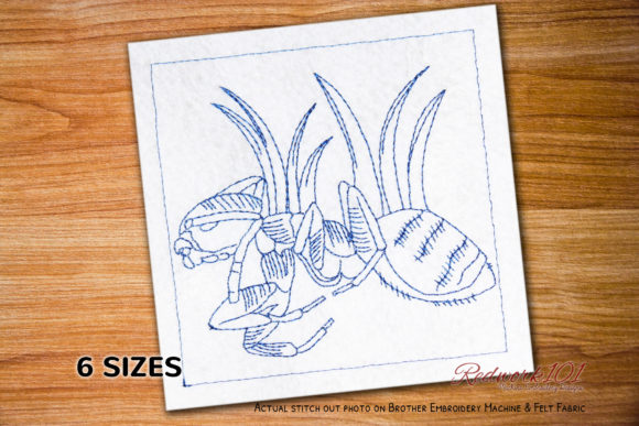Macro Ghost Ant Design Review