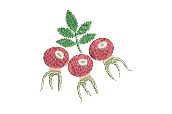 Red Rose Hips with a Green Leaf